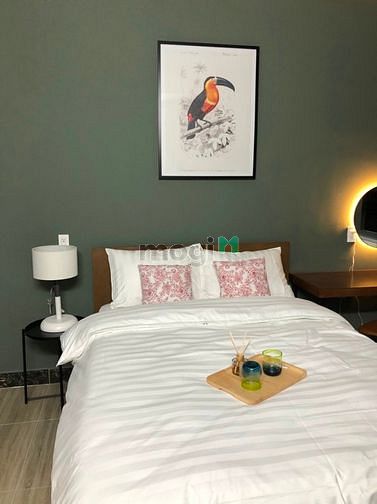 Hình ảnh Cho thuê Trang Chủ MB66.COM / Đăng Ký Tặng 66K cao cấp full nội thất siêu thoáng mát tại ĐBL