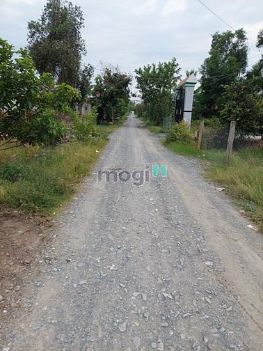 Hình ảnh Cần bán 125m2 thổ cư cách KcN Cầu Tràm đúng 1km