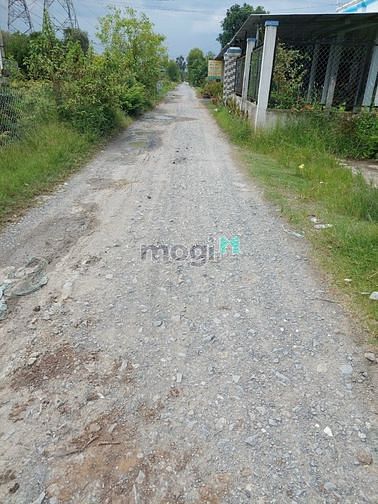 Hình ảnh Cần bán 125m2 thổ cư cách KcN Cầu Tràm đúng 1km