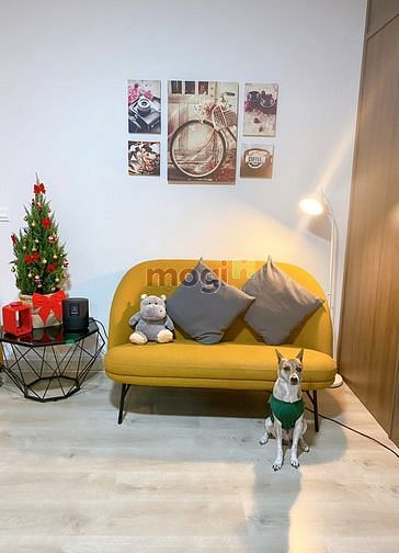 Hình ảnh Cho thuê Studio Sunrise cityview 38m2 full nội thất Giá 11tr5/tháng