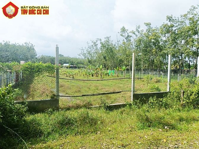 Hình ảnh Đất đường Hà Thị Kiểm - 1500m2 - 21x72 - 1000m2 thổ cư - Củ Chi