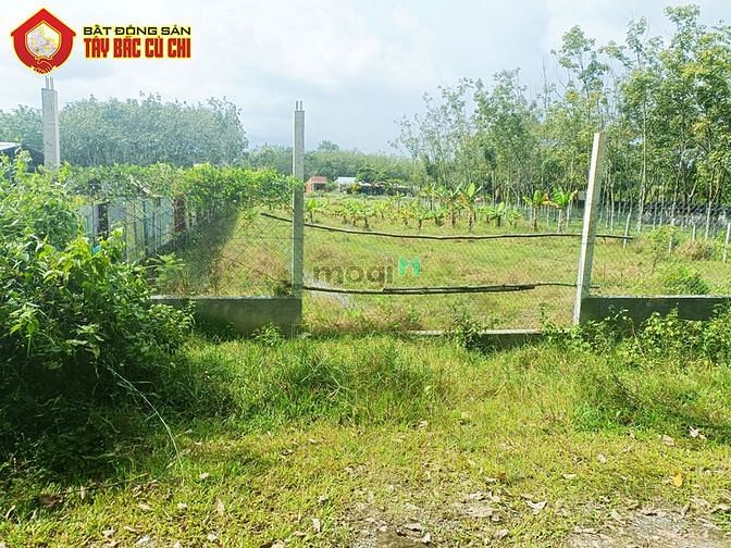 Hình ảnh Đất đường Hà Thị Kiểm - 1500m2 - 21x72 - 1000m2 thổ cư - Củ Chi