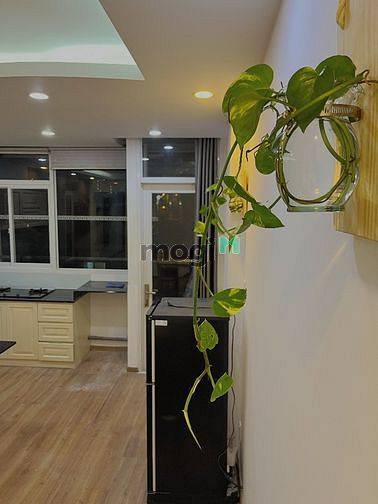 Hình ảnh 1PN 65m2 Tân Bình đầy đủ tiện nghi
