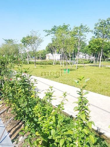 Hình ảnh Bán 7000m2 đất thổ cư mặt tiền TRần Xuân Soạn, tin 40