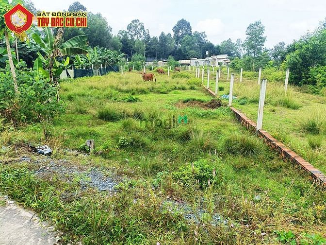 Hình ảnh Đất đường 387 - 125m2 - 5x27 - 118m2 thổ cư - xã Tân An Hội - Củ Chi