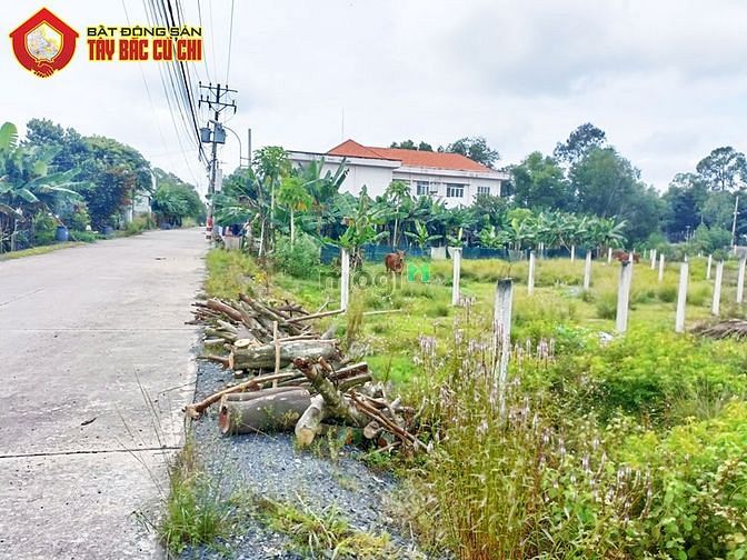 Hình ảnh Đất đường 387 - 125m2 - 5x27 - 118m2 thổ cư - xã Tân An Hội - Củ Chi