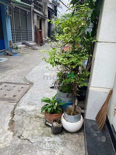 Hình ảnh Cho thuê nhà hẻm xe hơi  Bùi Hữu Nghĩa P2 Bình Thạnh