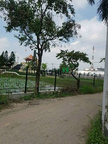 Hình ảnh Đất Đường Vườn Lài An Phú Đông Vườn Q12 100.7m  Giá 3 tỷ 2