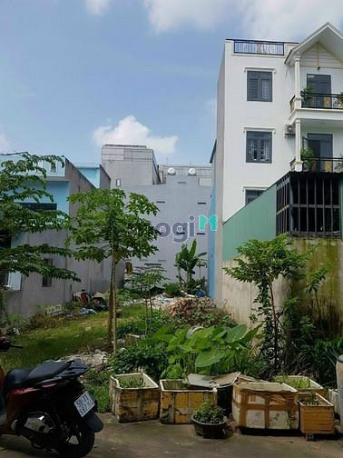 Hình ảnh Đất Đường Vườn Lài An Phú Đông Vườn Q12 100.7m  Giá 3 tỷ 2