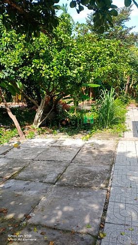 Hình ảnh nhà sân vườn bình nhâm sổ riêng