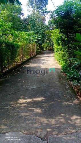 Hình ảnh nhà sân vườn bình nhâm sổ riêng