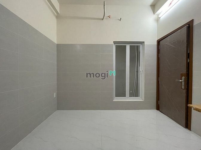 Hình ảnh STUDIO CỬA SỔ GIẾNG TRỜI_được nuôi PET_Bình Thạnh