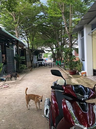 Hình ảnh Cần bán Đất Xã Tân Định, Bến Cát, Diện tích 100m², Giá 880 Triệu - LH: