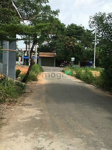 Hình ảnh Cần bán Đất Xã Tân Định, Bến Cát, Giá 960 Triệu