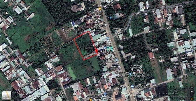 Hình ảnh C.Chủ bán 52x32 (1.708m2 Full thổ) Hà Duy Phiên-Bình Mỹ- Củ Chi (HHMG)