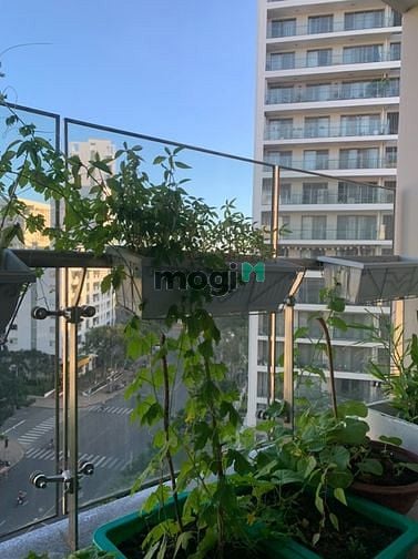 Hình ảnh Cho thuê Trang Chủ MB66.COM / Đăng Ký Tặng 66K siêu phẩm Riverpark Premier 130m2 3pn nhà đẹp