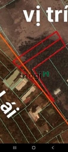 Hình ảnh Bán Lô Đất Mặt Tiền Cầu Cát Lái Phương Án 2 Nhơn Trạch