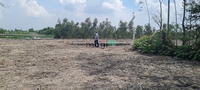 Hình ảnh Bán Lô Đất Mặt Tiền Cầu Cát Lái Phương Án 2 Nhơn Trạch