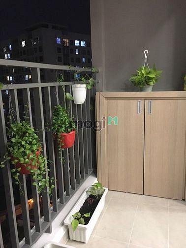 Hình ảnh Cho thuê Trang Chủ MB66.COM / Đăng Ký Tặng 66K 74m2 Full Nội thất , View TP - Golden Mansion
