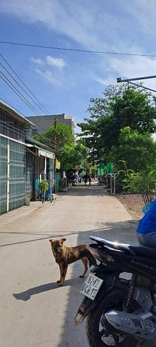 Hình ảnh + cho thuê kho chứa hàng tại lái thiêu