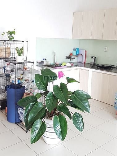 Hình ảnh Bán Trang Chủ MB66.COM / Đăng Ký Tặng 66K Idico Tân Phú 2pn 1wc giá 1 tỉ 5