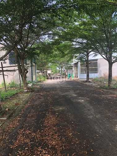 Hình ảnh Cần bán Đất đường 2, Xã Tân Định, Diện tích 100m², Giá 850 Triệu