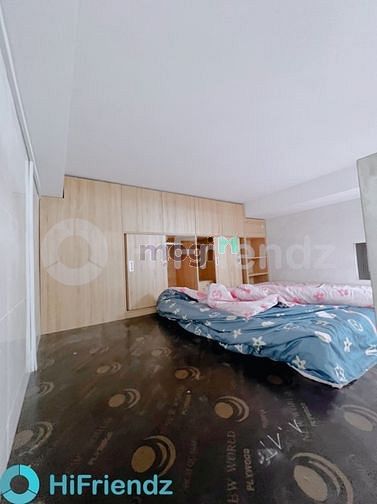 Hình ảnh Khai trương Duplex mới 100% ( Hình thật , giá thật )