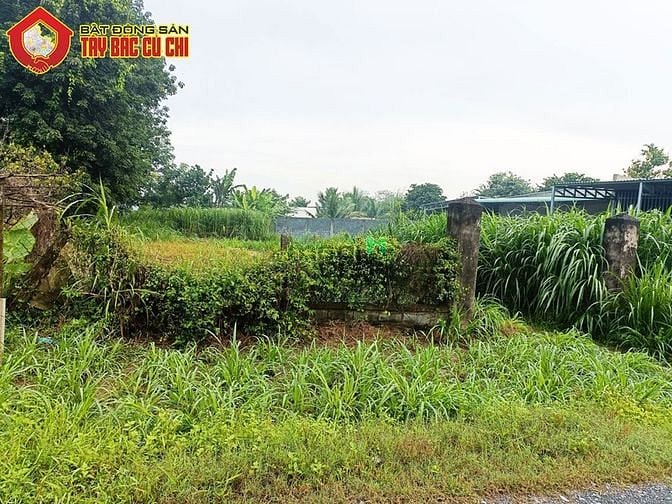 Hình ảnh Đất đường Trần Thị Tuồng - 731m2 - 15x50 - 100m2 thổ cư - Phú Hòa Đông