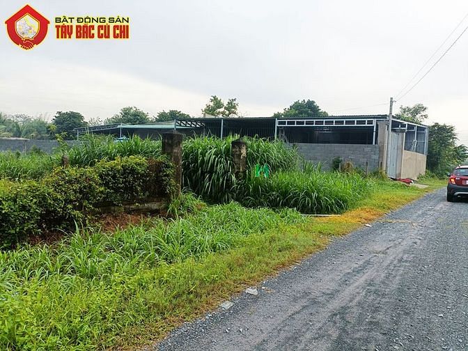 Hình ảnh Đất đường Trần Thị Tuồng - 731m2 - 15x50 - 100m2 thổ cư - Phú Hòa Đông