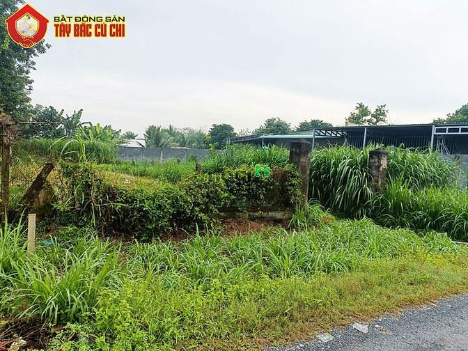 Hình ảnh Đất đường Trần Thị Tuồng - 731m2 - 15x50 - 100m2 thổ cư - Phú Hòa Đông