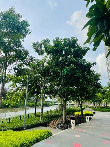 Hình ảnh Dự án The Peak Midtown Phú Mỹ Hưng