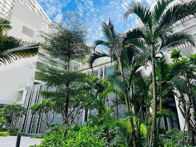 Hình ảnh Dự án The Peak Midtown Phú Mỹ Hưng