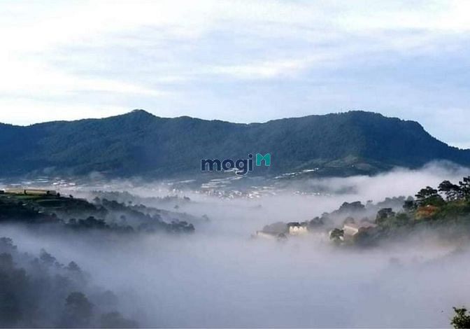 Hình ảnh Cần bán 445m2 đất sẵn thổ cư view đồi thông/săn mây đà lạt cách trung