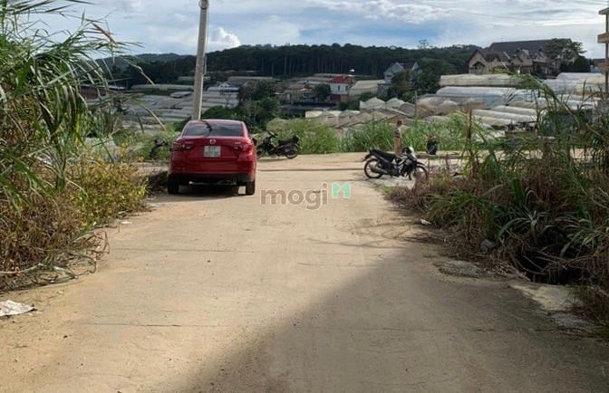 Hình ảnh Cần bán 445m2 đất sẵn thổ cư view đồi thông/săn mây đà lạt cách trung