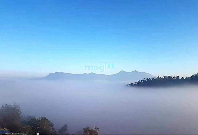 Hình ảnh Cần bán 445m2 đất sẵn thổ cư view đồi thông/săn mây đà lạt cách trung