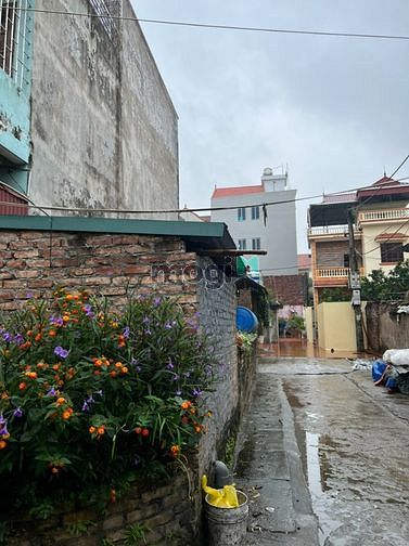 Hình ảnh Chỉ nhỉnh 2 tỷ có 55m2 đất lô góc Thượng Cát,Bắc Từ Liêm,Hà Nội.