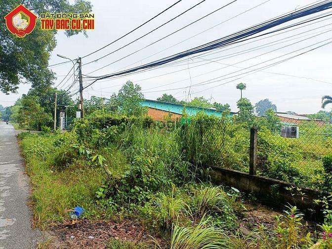 Hình ảnh Đất đường Nguyễn Thị Chắc - 895m2 - 21x43 - 320m2 thổ cư - Củ Chi