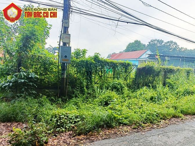 Hình ảnh Đất đường Nguyễn Thị Chắc - 895m2 - 21x43 - 320m2 thổ cư - Củ Chi