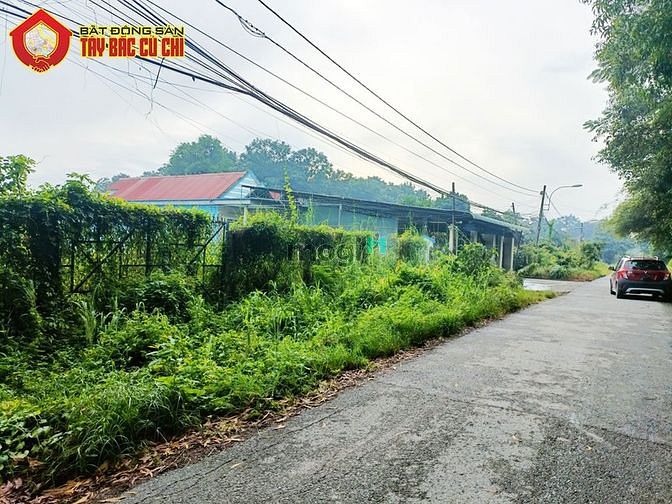 Hình ảnh Đất đường Nguyễn Thị Chắc - 895m2 - 21x43 - 320m2 thổ cư - Củ Chi