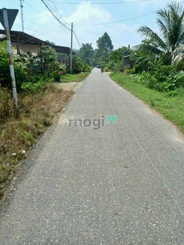Hình ảnh Bán Đất Thổ Cư 100% Mặt Tiền Đường Nhựa