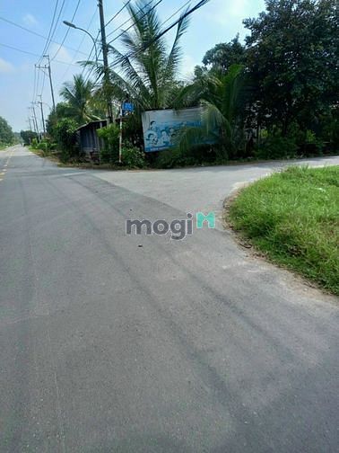 Hình ảnh Bán Đất Thổ Cư 100% Mặt Tiền Đường Nhựa