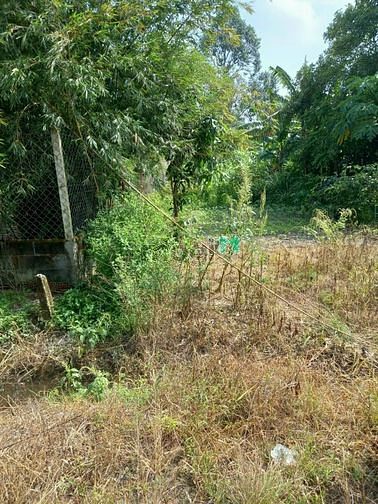 Hình ảnh Bán Đất Thổ Cư 100% Mặt Tiền Đường Nhựa