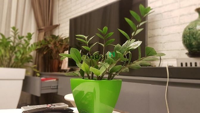 Hình ảnh Masteri Thảo Điền, full nội thất cao cấp như hình