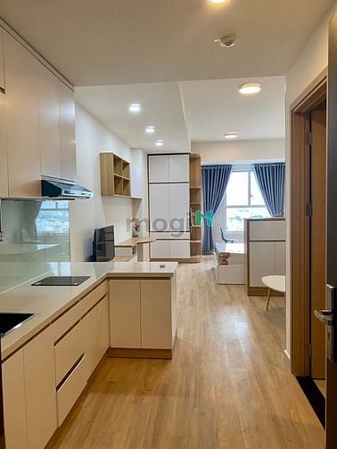 Hình ảnh Cho thuê Sunrise CityView 38m2 full NT giá 12tr