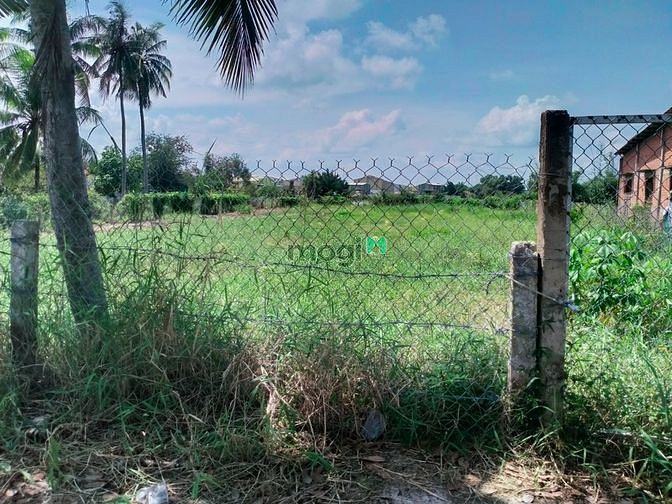Hình ảnh Đất vườn view sông Vàm Cỏ Tây Thủ Thừa Long An