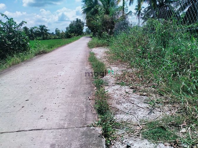 Hình ảnh Đất vườn view sông Vàm Cỏ Tây Thủ Thừa Long An