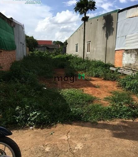 Hình ảnh Bán lô đất 100m2 vị trí đắc địa,kinh doanh được,,