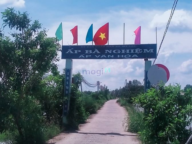 Hình ảnh Đất vườn view sông Vàm Cỏ Tây Thủ Thừa Long An