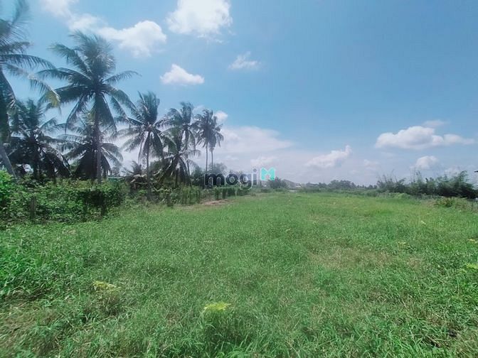 Hình ảnh Đất vườn view sông Vàm Cỏ Tây Thủ Thừa Long An