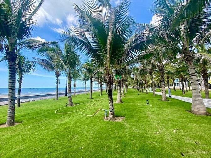 Hình ảnh Alaric Tower Trang Chủ MB66.COM / Đăng Ký Tặng 66K ôm trọn biển cả
